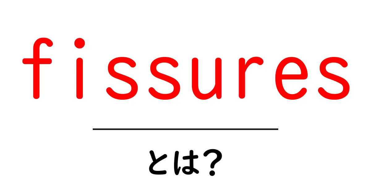 fissuresとは？初心者のための分かりやすい解説共起語・同意語・対義語も併せて解説！