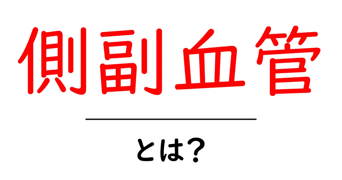 側副血管とは?側副血管について詳しく解説共起語・同意語・対義語も併せて解説!