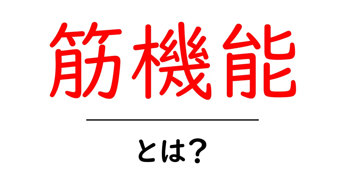 筋機能とは?初心者にもやさしく解説する基礎ガイド共起語・同意語・対義語も併せて解説!