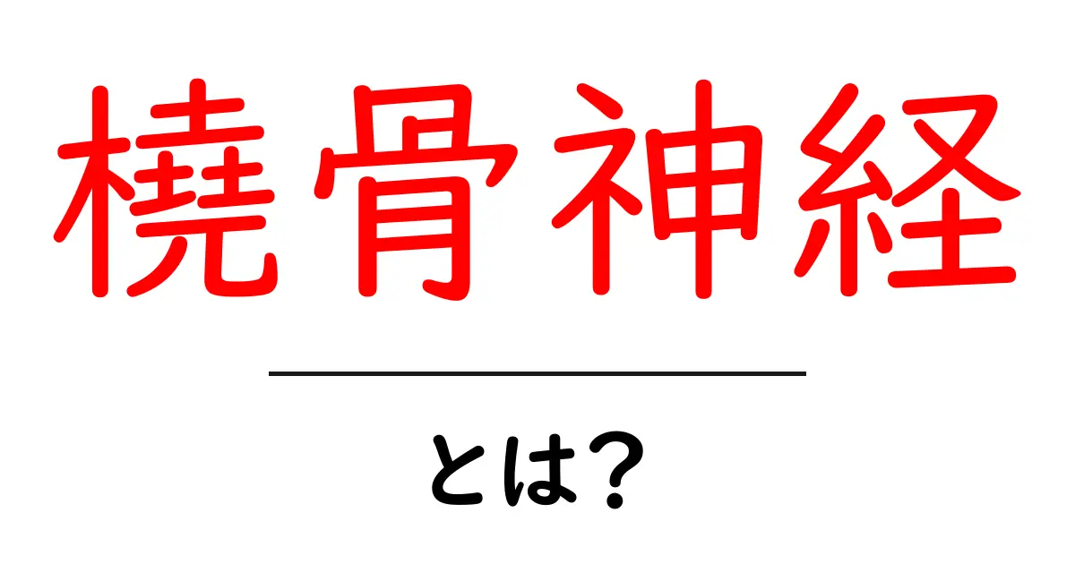 橈骨神経とは？初心者向けの基礎解説と痛み・しびれのサインを見逃さない方法共起語・同意語・対義語も併せて解説！