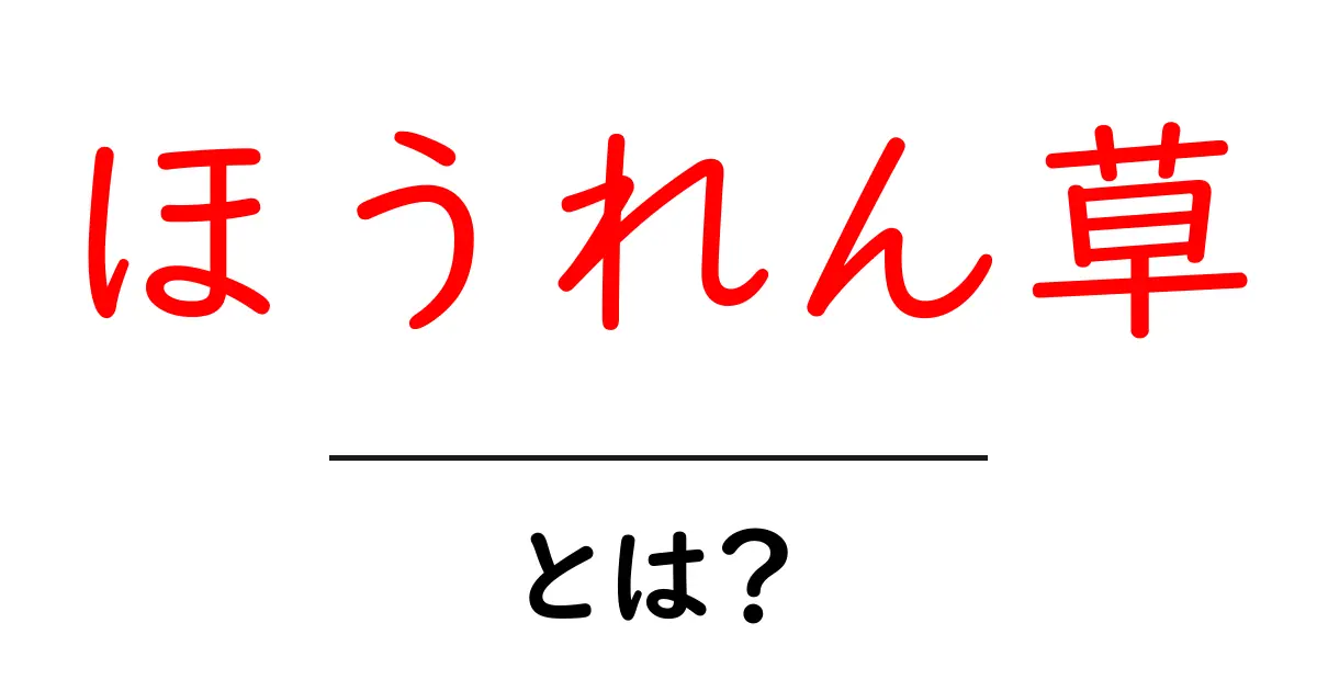ほうれん草とは？初心者にもわかる基礎ガイドと栄養の秘密共起語・同意語・対義語も併せて解説！