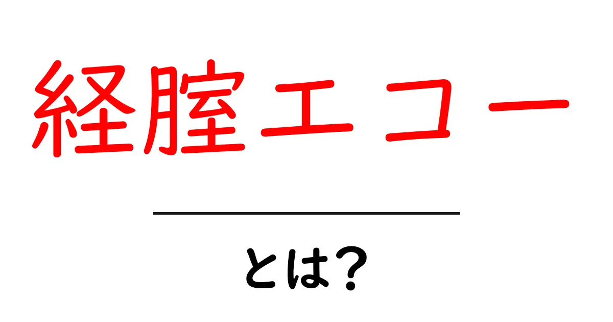 経腟エコーとは？初心者にもわかる基本ガイド共起語・同意語・対義語も併せて解説！