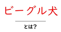ビーグル犬・とは？初心者でも分かる基本ガイドと特徴共起語・同意語・対義語も併せて解説！