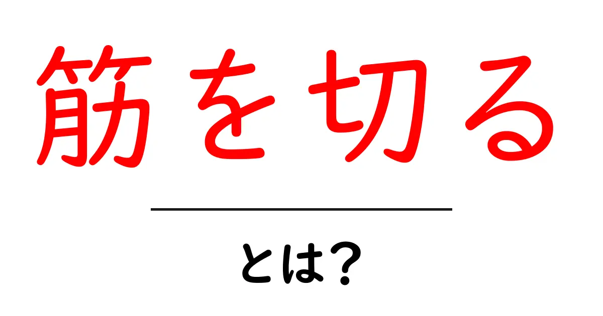筋を切る・とは？初心者にもわかる意味と使い方ガイド共起語・同意語・対義語も併せて解説！