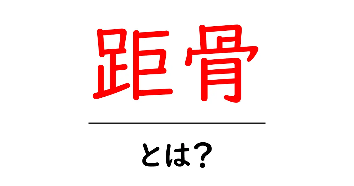 距骨とは？足首の秘密を中学生にもわかる図解つきで徹底解説共起語・同意語・対義語も併せて解説！