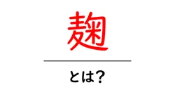 麹・とは?初心者でもわかる麹の基礎と日常の料理への活用法共起語・同意語・対義語も併せて解説!