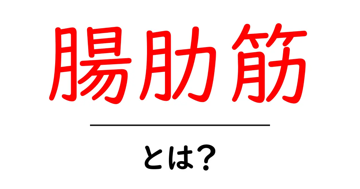 腸肋筋・とは?初心者向けのやさしい解説と日常での役割共起語・同意語・対義語も併せて解説!