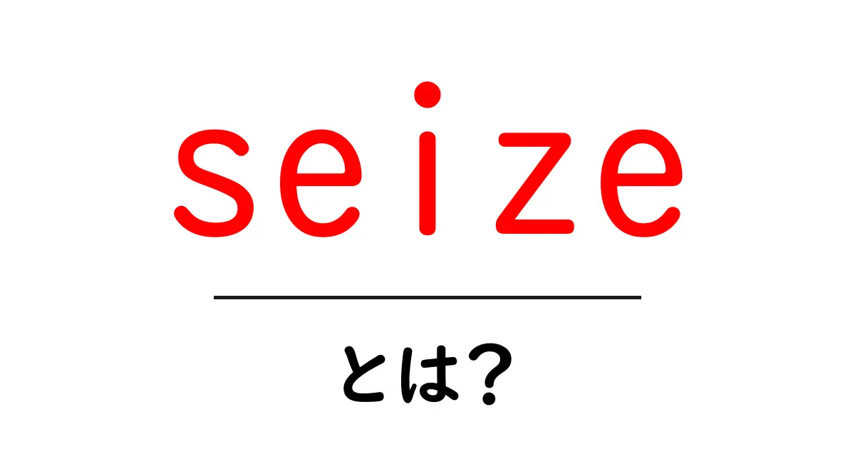 seize とは？初心者にも分かる意味と使い方ガイド共起語・同意語・対義語も併せて解説！