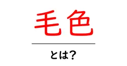 毛色・とは？初心者にも分かる毛色の基礎と日常での活用ガイド共起語・同意語・対義語も併せて解説！