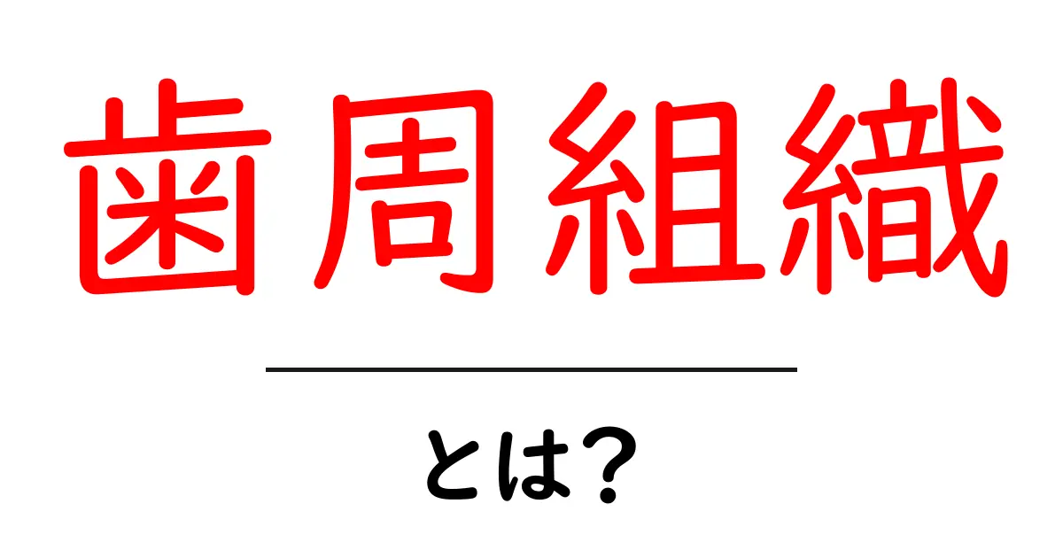 歯周組織・とは？歯ぐきの秘密をやさしく解説してみよう共起語・同意語・対義語も併せて解説！