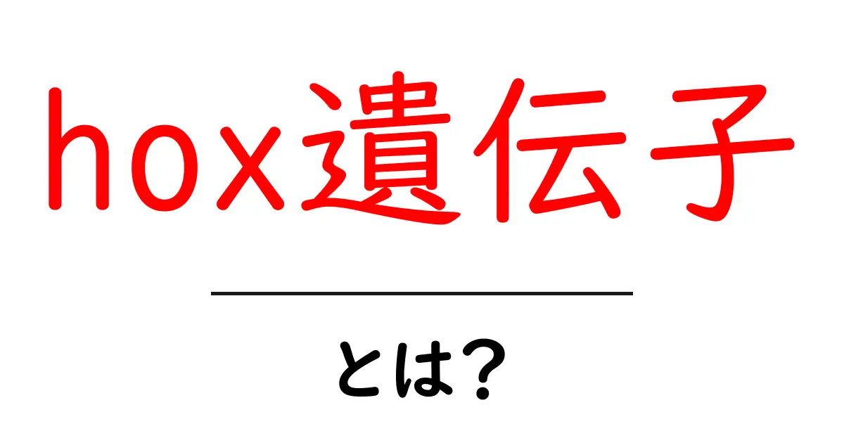 hox遺伝子・とは?初心者にもわかる発生学入門共起語・同意語・対義語も併せて解説!