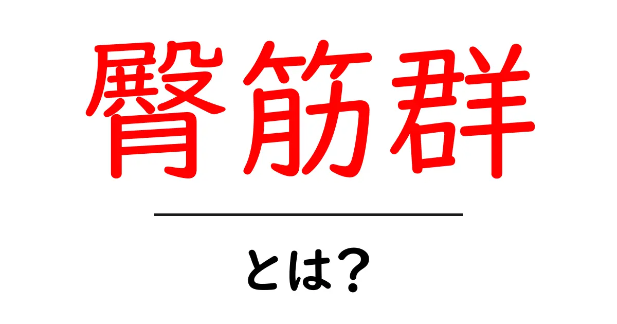 臀筋群・とは？初心者でも分かるお尻の筋肉のしくみと鍛え方共起語・同意語・対義語も併せて解説！