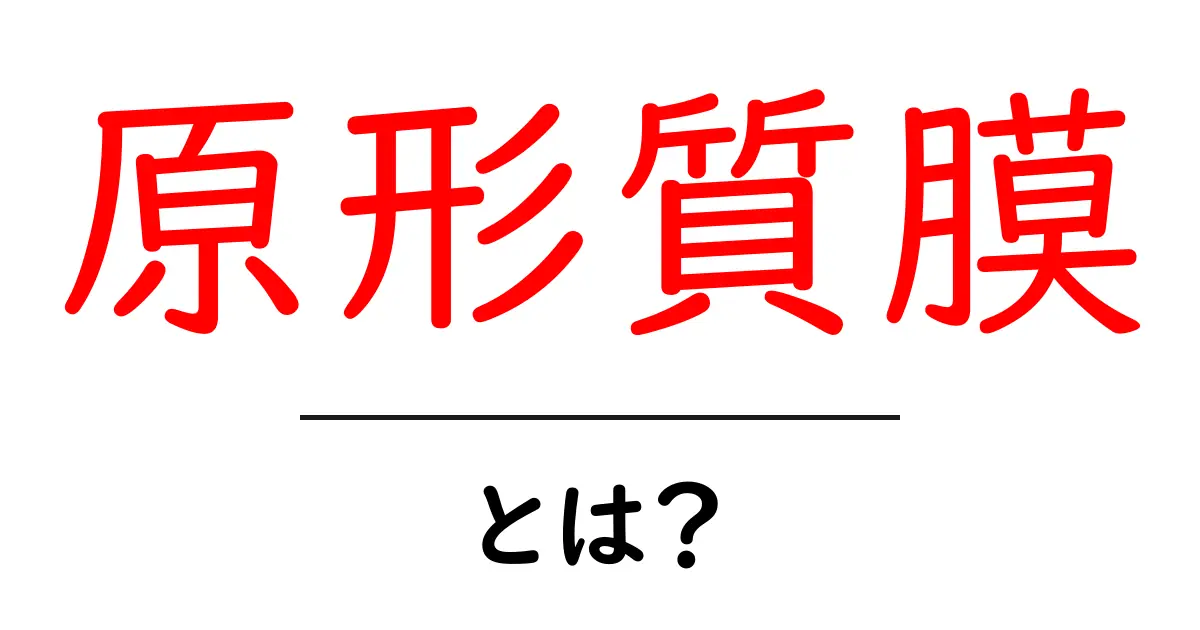 原形質膜・とは?初心者にも分かる仕組みと役割を徹底解説共起語・同意語・対義語も併せて解説!