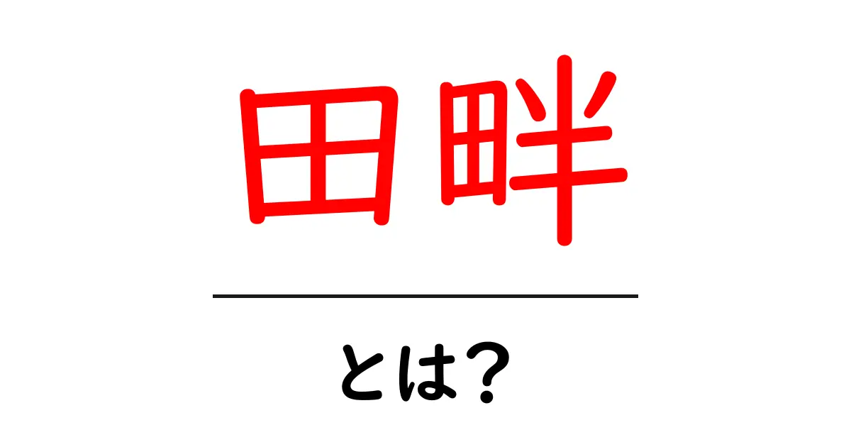 田畔・とは?初心者にも分かる田畔の意味と使い方ガイド共起語・同意語・対義語も併せて解説!
