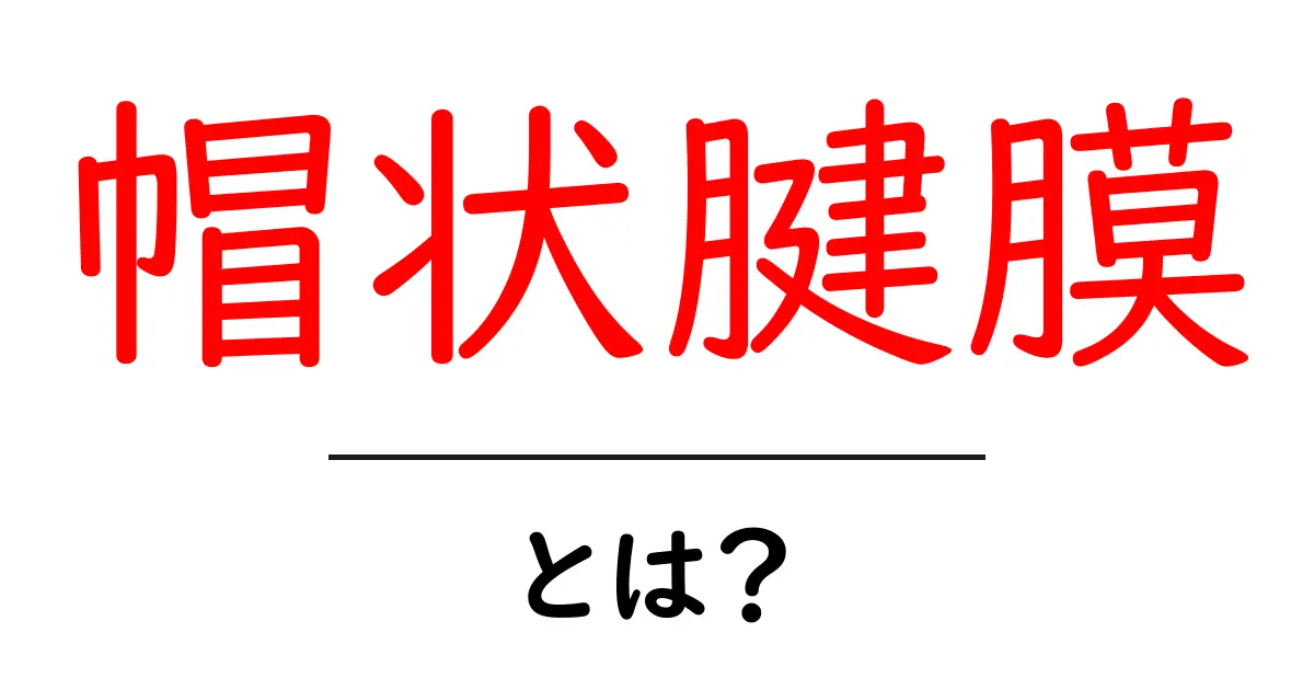 帽状腱膜・とは？頭部の秘密をやさしく解説する初心者向けガイド共起語・同意語・対義語も併せて解説！