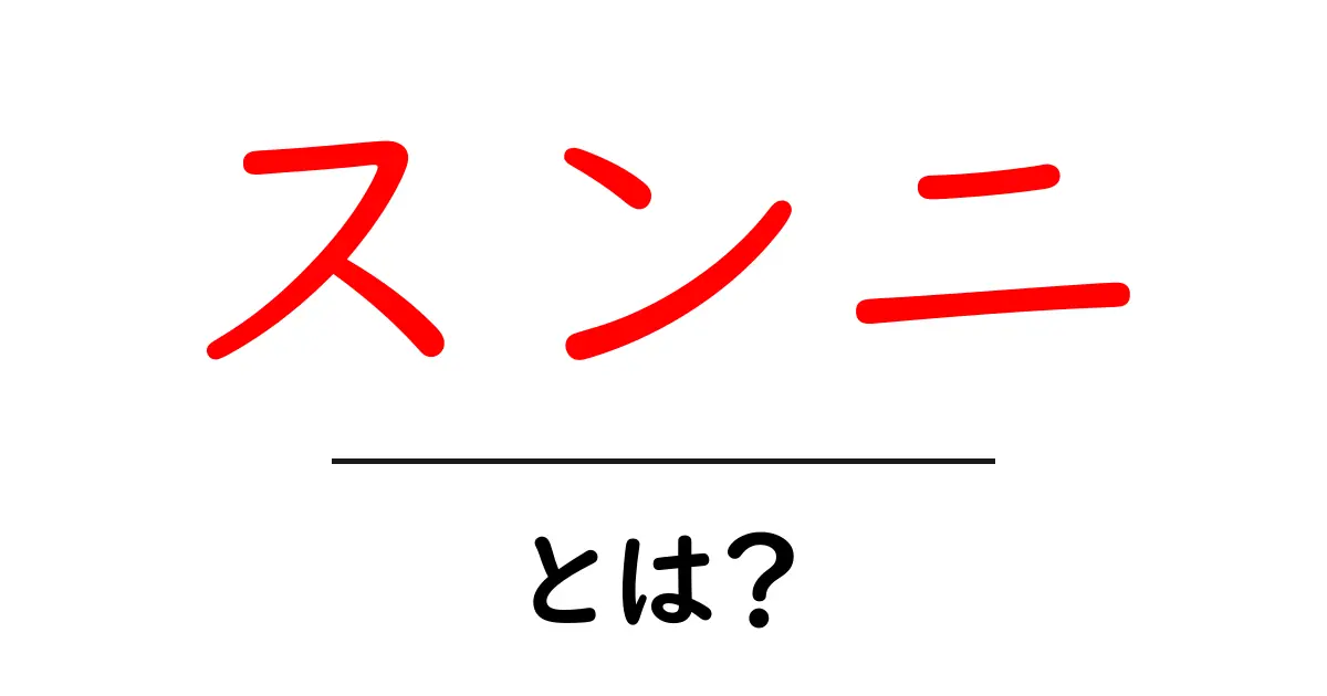 スンニ・とは？初心者でも分かる基本ガイド共起語・同意語・対義語も併せて解説！