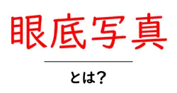 眼底写真とは？初心者向け解説：撮影の流れ・見方・用途を徹底解説共起語・同意語・対義語も併せて解説！