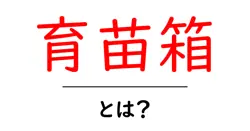 育苗箱・とは?初心者が知っておく基本と使い方ガイド共起語・同意語・対義語も併せて解説!
