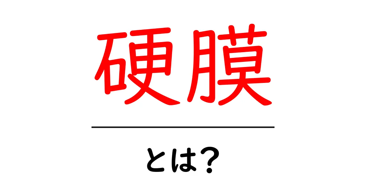 硬膜とは？— 脳と脊髄を守る硬膜の基本をやさしく解説共起語・同意語・対義語も併せて解説！