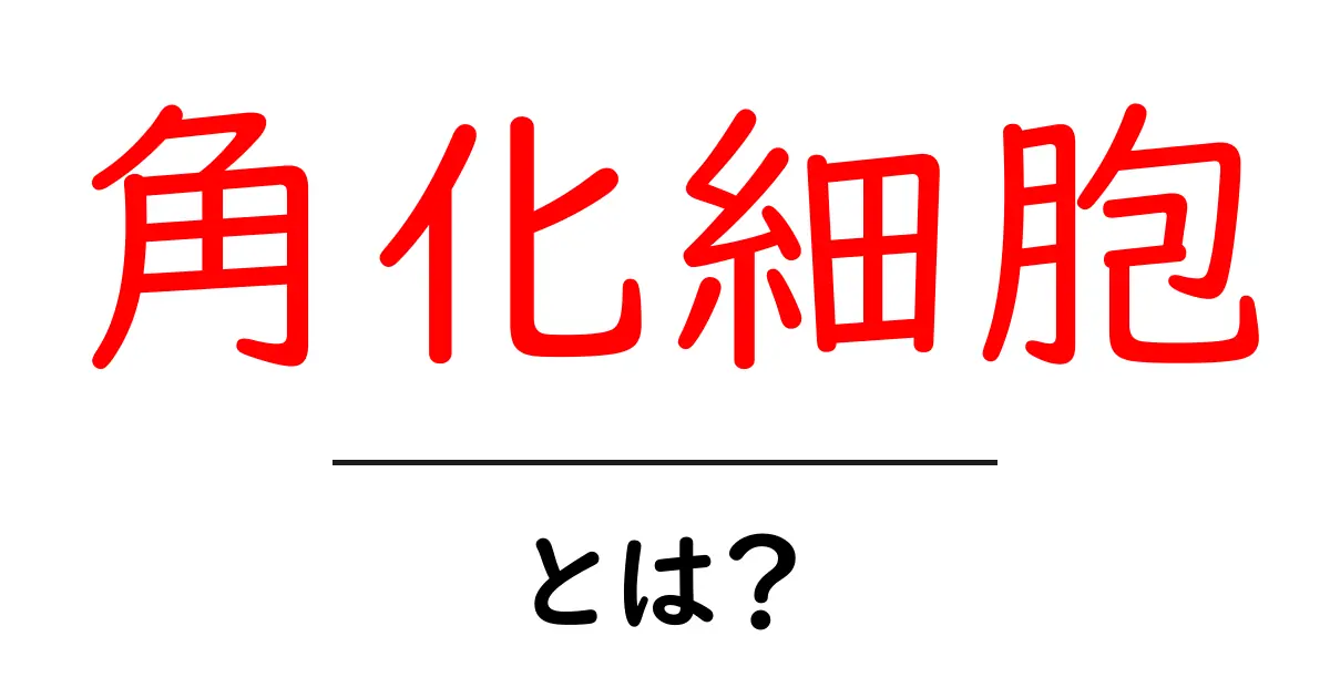 角化細胞とは？皮膚を守る角化細胞の働きをやさしく解説共起語・同意語・対義語も併せて解説！