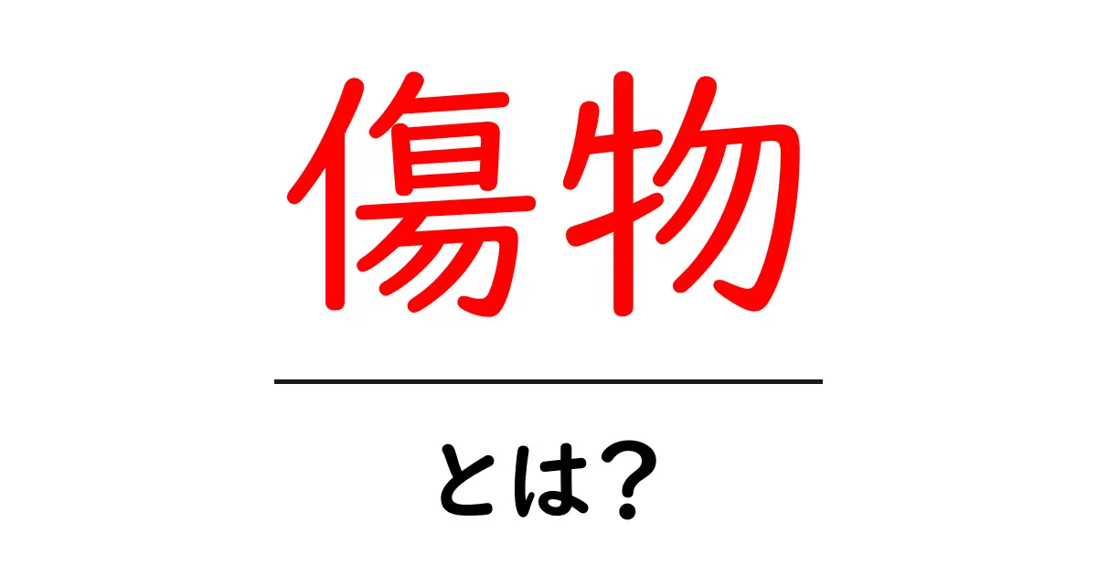 傷物とは？初心者にもわかる意味と使い方の解説共起語・同意語・対義語も併せて解説！