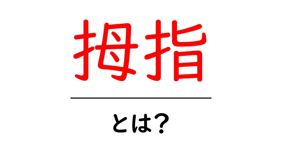 拇指・とは？初心者でもわかる拇指の基礎と日常の使い方共起語・同意語・対義語も併せて解説！
