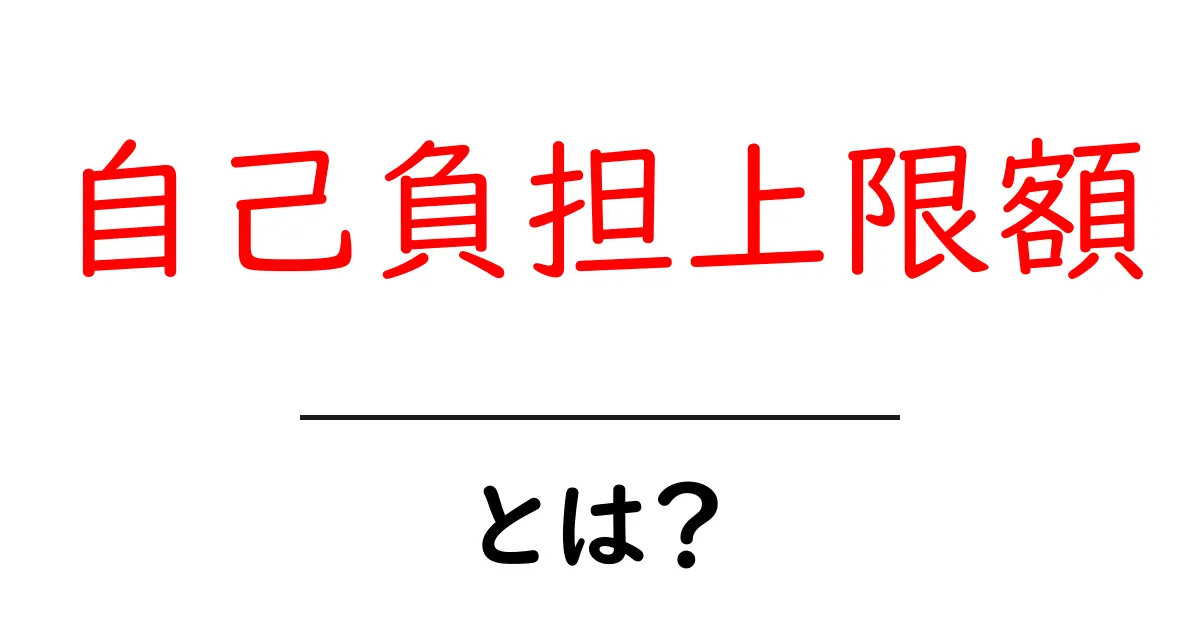 自己負担上限額とは?初心者にもわかる基本と使い方共起語・同意語・対義語も併せて解説!