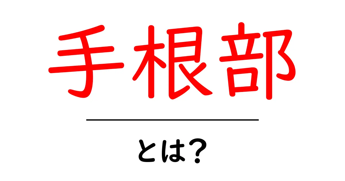 手根部・とは？初心者向けに手首の基礎をやさしく解説共起語・同意語・対義語も併せて解説！