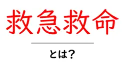 救急救命とは？初心者向け基礎ガイド | いざというとき役立つ応急対応のポイント共起語・同意語・対義語も併せて解説！