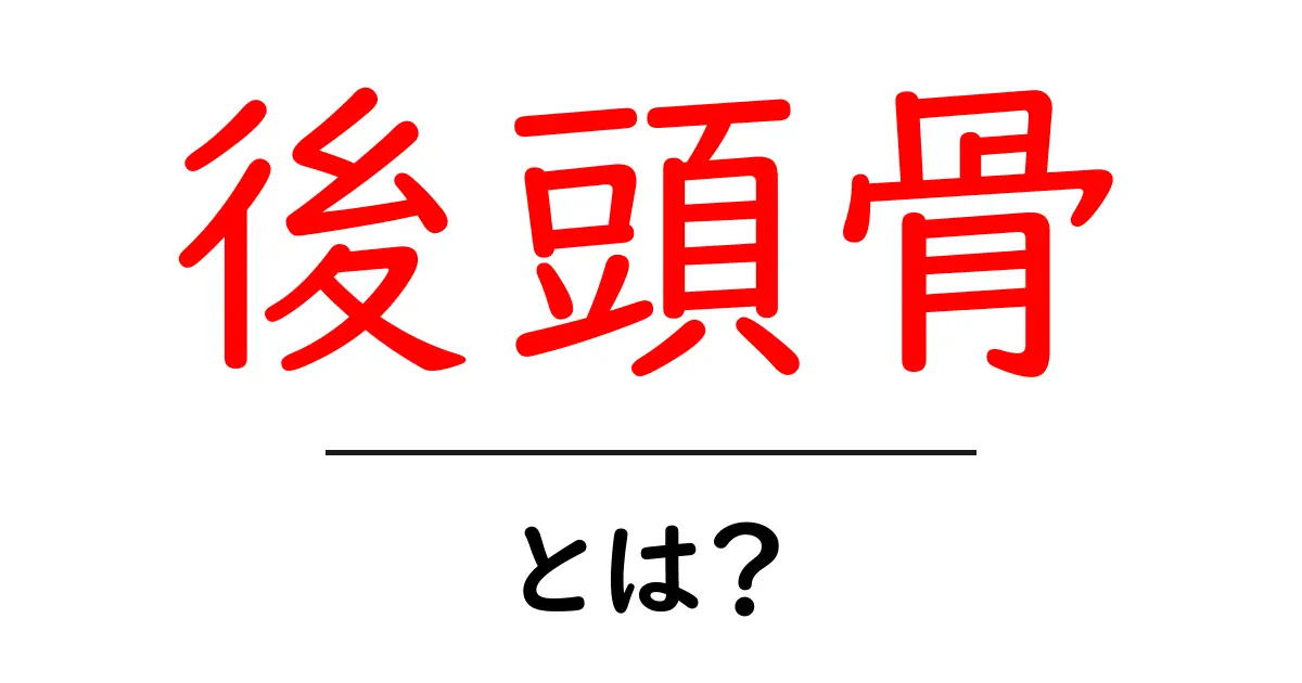 後頭骨・とは？基礎知識から学ぶ頭蓋後部の骨の役割としくみ共起語・同意語・対義語も併せて解説！