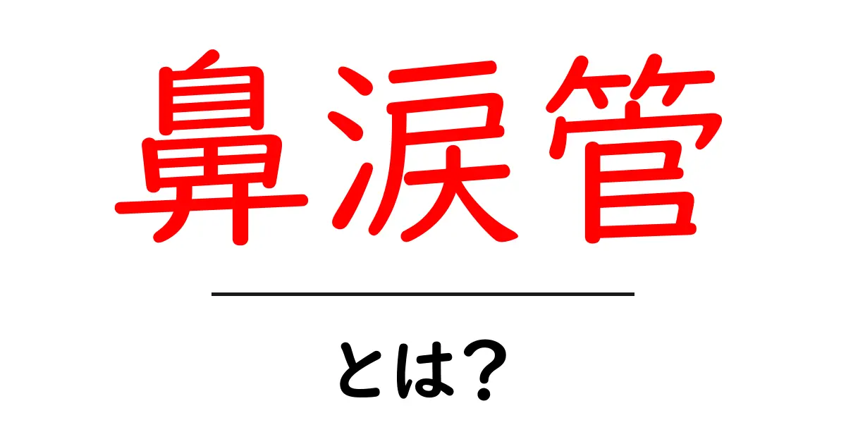 鼻涙管・とは？初心者向けにやさしく解説共起語・同意語・対義語も併せて解説！
