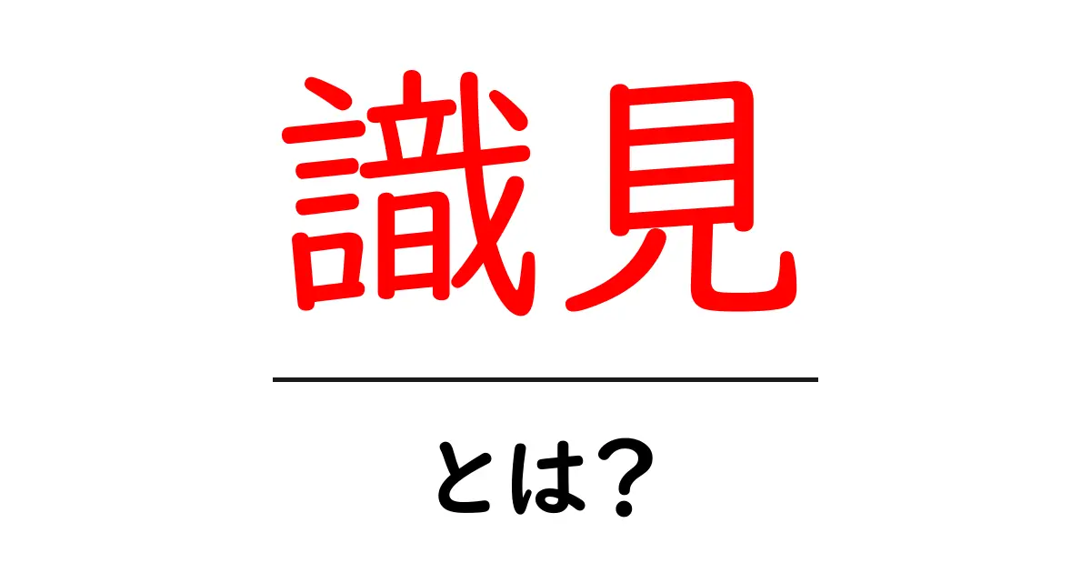 識見・とは？初心者にもわかる解説と使い方のポイント共起語・同意語・対義語も併せて解説！