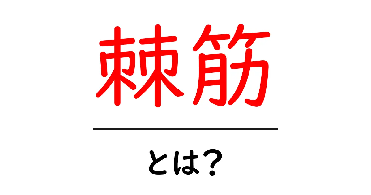 棘筋・とは？初心者にもわかる基礎ガイド共起語・同意語・対義語も併せて解説！