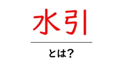 水引・とは？初心者が知る基本と使い方ガイド共起語・同意語・対義語も併せて解説！