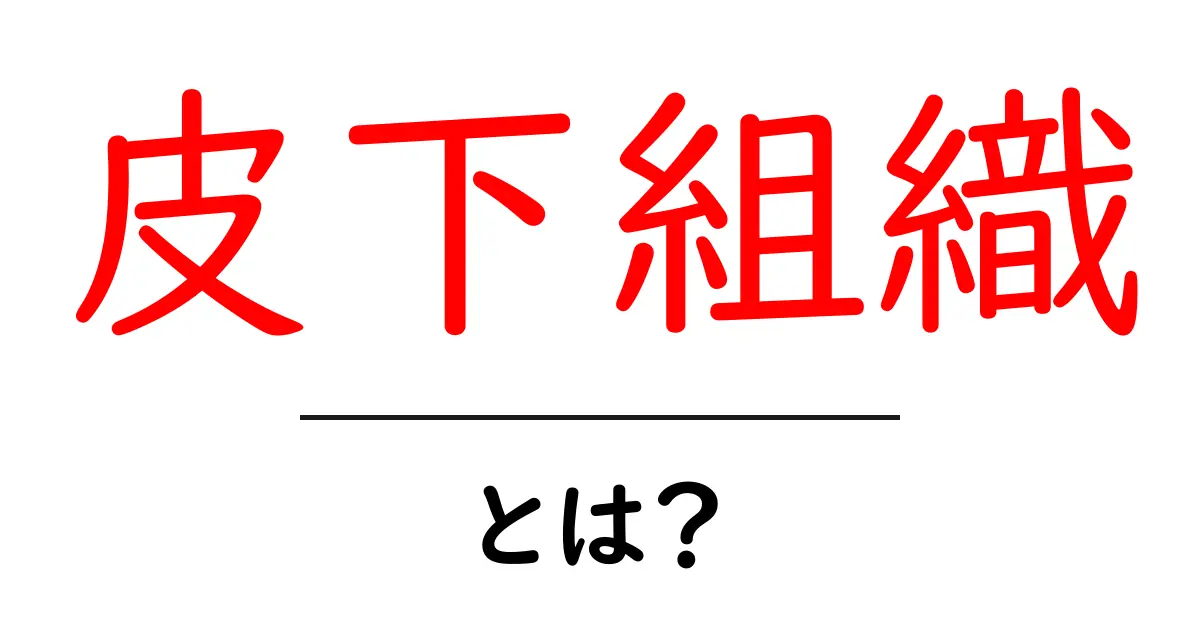 皮下組織・とは？をやさしく解説：体のしくみを学ぼう共起語・同意語・対義語も併せて解説！