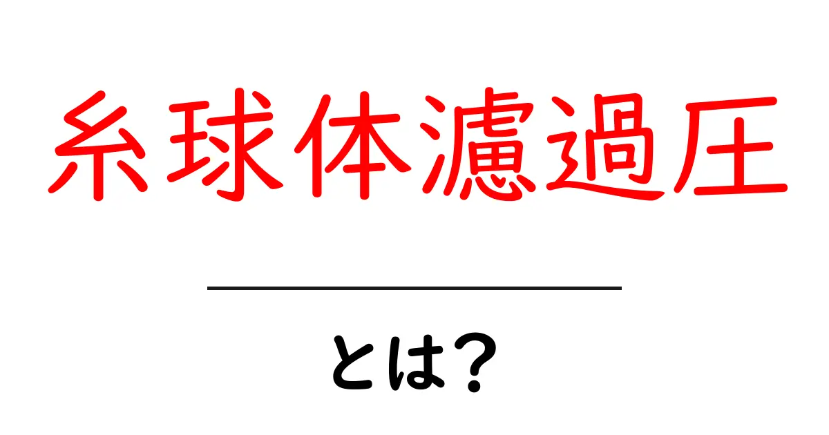 糸球体濾過圧とは？腎臓の働きを学ぶ基本ガイド共起語・同意語・対義語も併せて解説！