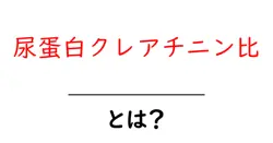尿蛋白クレアチニン比とは?検査の基礎と日常生活への影響をわかりやすく解説共起語・同意語・対義語も併せて解説!