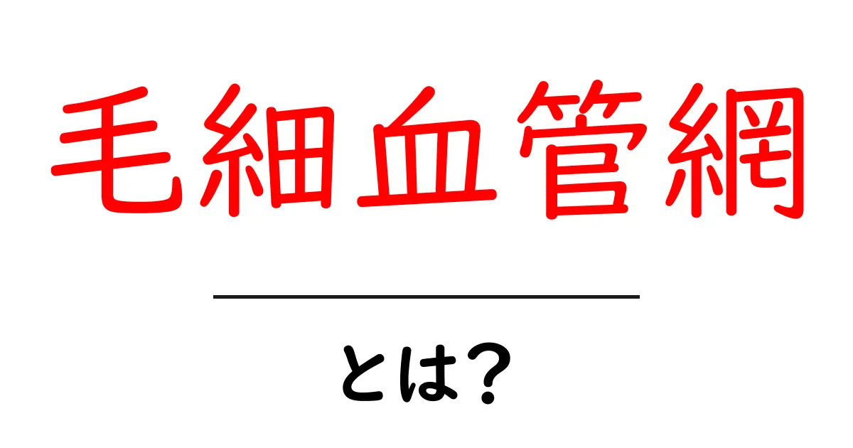 毛細血管網とは？体の中の小さな水路をやさしく解説共起語・同意語・対義語も併せて解説！