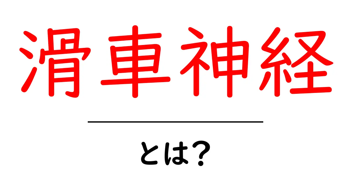 滑車神経とは？ 中学生にもわかる解説と眼の動きを理解するコツ共起語・同意語・対義語も併せて解説！