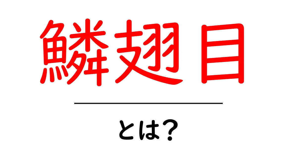 鱗翅目とは？蝶と蛾の世界をわかりやすく解説する入門ガイド共起語・同意語・対義語も併せて解説！
