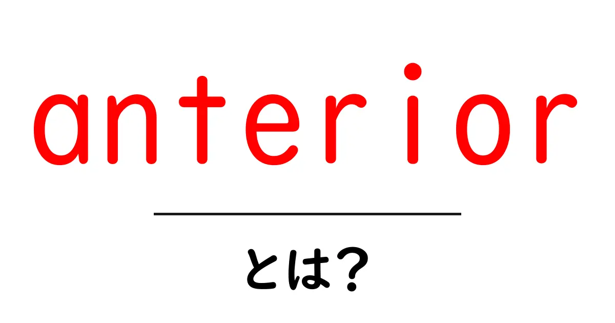 anteriorとは？初心者向けに分かる前方の意味と使い方共起語・同意語・対義語も併せて解説！