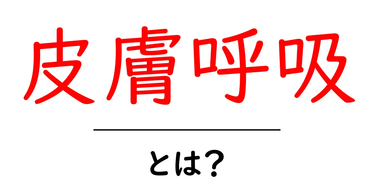 皮膚呼吸・とは？初心者にも分かる仕組みと正しい理解のすべて共起語・同意語・対義語も併せて解説！