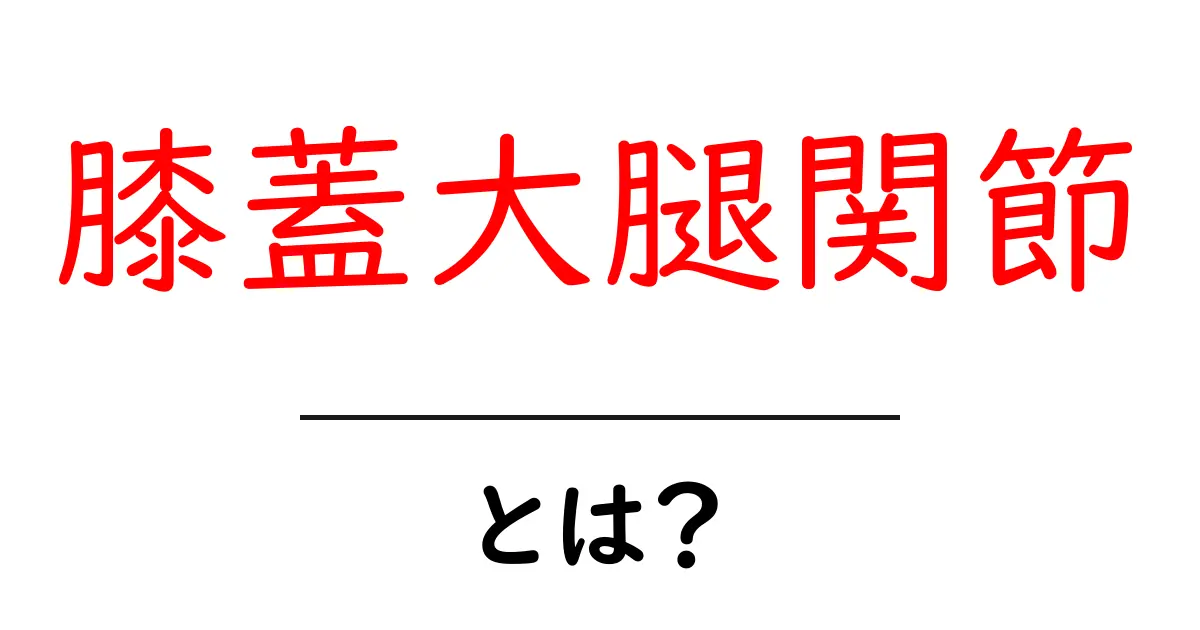 膝蓋大腿関節とは?初心者にもわかる基本解説とケガ予防のポイント共起語・同意語・対義語も併せて解説!