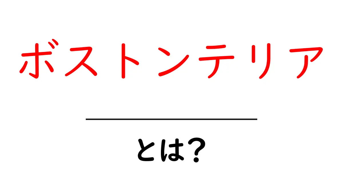 ボストンテリアとは？初心者が押さえる基本と魅力を徹底解説共起語・同意語・対義語も併せて解説！