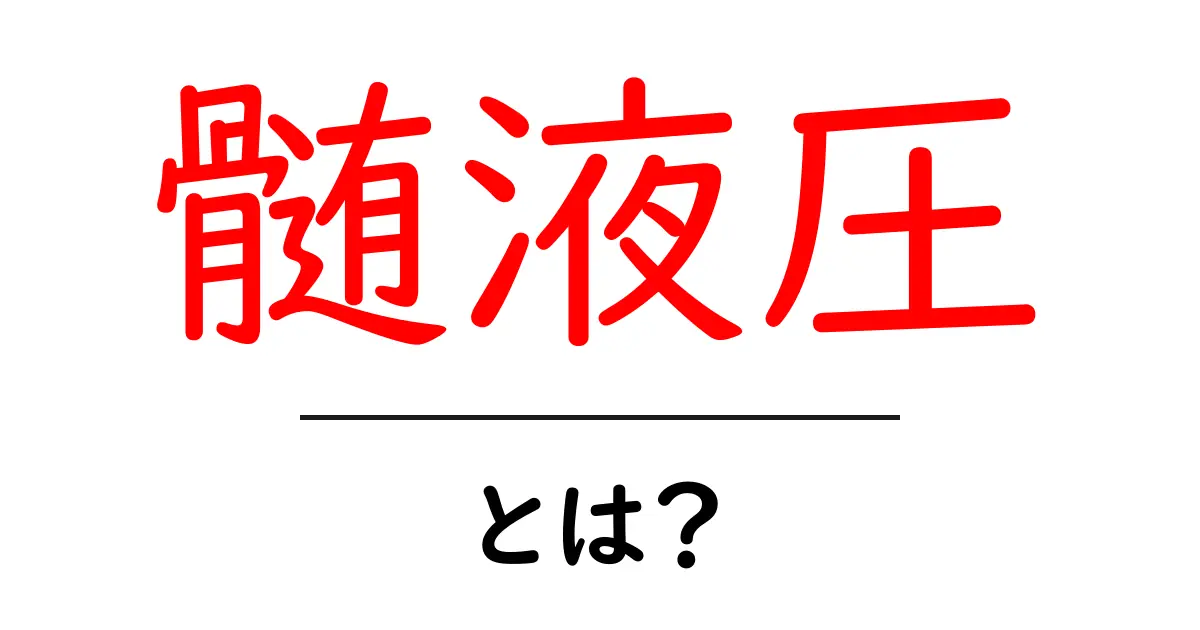 髄液圧・とは？初心者向けにやさしく解説する基礎ガイド共起語・同意語・対義語も併せて解説！