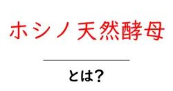 ホシノ天然酵母・とは？初心者にもやさしい使い方と特徴を徹底解説共起語・同意語・対義語も併せて解説！