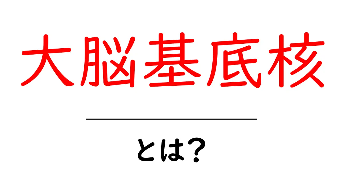 大脳基底核とは？初心者でも分かる大脳基底核の基礎解説共起語・同意語・対義語も併せて解説！