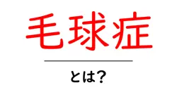 毛球症とは？原因・症状・予防を初心者にもわかりやすく解説共起語・同意語・対義語も併せて解説！