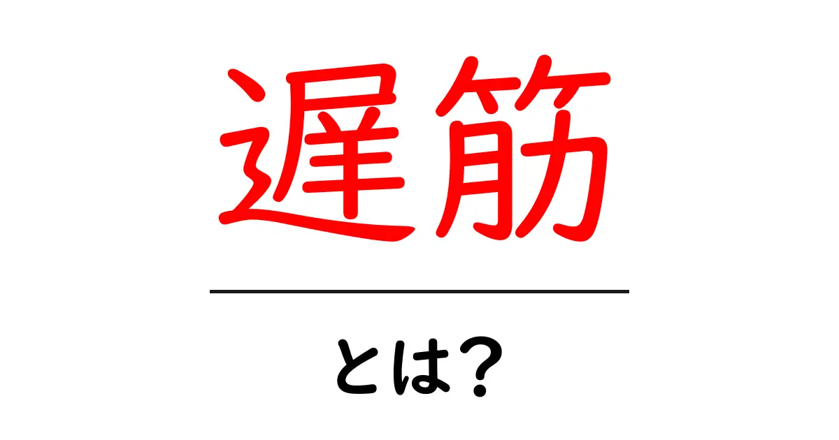 遅筋とは？初心者でも分かる基礎とトレーニングのコツ共起語・同意語・対義語も併せて解説！