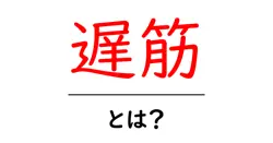 遅筋とは？初心者でも分かる基礎とトレーニングのコツ共起語・同意語・対義語も併せて解説！